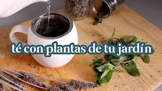 Té de lavanda, menta y hierbabuena I Cómo cosechar y secar