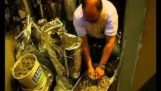 BREW WHARF TOCCALMATTO