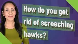How do you get rid of screeching hawks?
