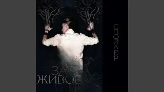 ЯННП
