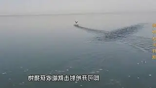 Hunter Speeds on Jet Boat, Launches Surprise Attack on Shoreline Bird Flock, Inspiring...