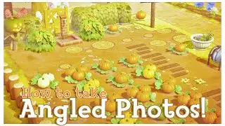 How to get ANGLED Photos in ACNH! | SUPER EASY!!