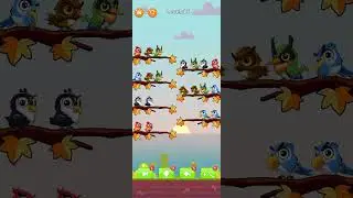 Bird matching game