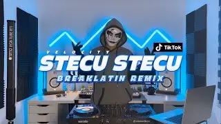 DISCO HUNTER - Stecu Stecu (Extended Mix)