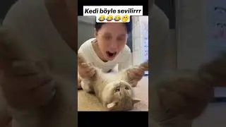 Kedi B&ouml;yle Sevilir Kedi Sevme Fobisi Olan Kadın Yedi Bitirdi Part 2