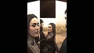 Salahuddin ayubi helps Shamsa Hatun's love for Salahuddin  #salahuddinayubi #history #riwayattv