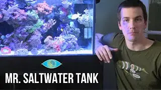 10 Expert Reef Keeping Tips - Mr Saltwater Tank TV