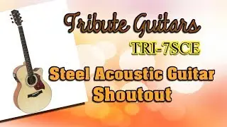 Tribute Guitars TRI-7SCE Steel Acoustic Guitar Demo