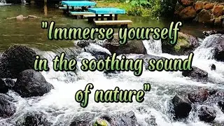 Immerse yourself in the rhythm of nature sound melting away stress and worries #naturelovers