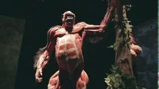 ANIMAL INSIDE OUT: A BODY WORLDS Production - opens 28 May 2016
