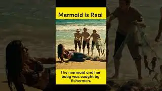 Real Mermaid Found by Fishermen Caught on Camera!