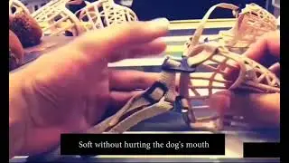 Dog Muzzle, Breathable Dog Basket Muzzles for Small, Medium, Large Dogs, Stop Biting, Barking and Ch
