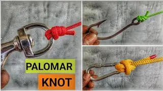 The PALOMAR Knot: A Complete Guide
