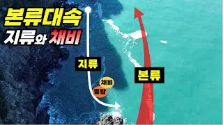 좋은 조류에서  50마리 잡았습니다 