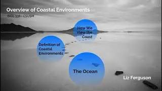 Coastal Environments Overview