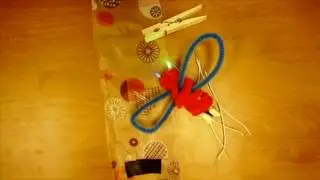 circuit bug construction