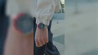 230 Automatic Collection - Sector No Limits