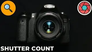 How To Find Camera Shutter Count  Easy 2021