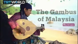 The sound of Malaysian gambus | Music | Showcase