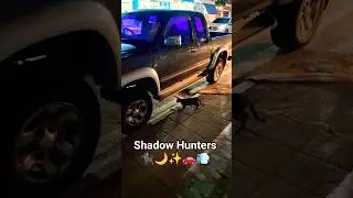 Black cats playing a DANGEROUS game under parked cars at night 🐈&zwj;⬛🌙 #streetcats