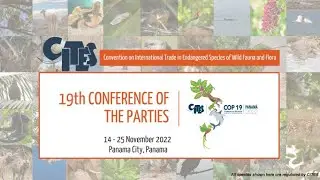 CITES CoP19 Committee I - Day 1, Session 1: 15 November 2022 (Floor)