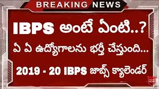 What is IBPS | Types Of Jobs in IBPS | 2019 - 2020 Bank Jobs through IBPS| IBPS Calendar 2019 - 2020