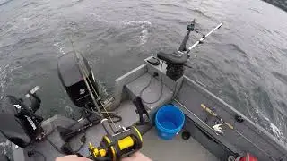 Elgin Fishing God's Tooth spoons - Pink Salmon - Marine Area 8-2, WA