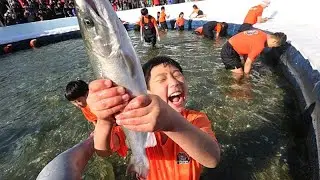 G&uuml;ney Kore'deki Sancheoneo Festivali: Binlerce kişi buzda alabalık avı i&ccedil;in akın etti