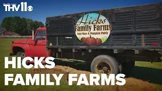 Hicks Family Farm is ready for fall