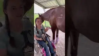 A Tip for Applying Fly Spray on your Horse