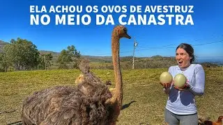 Pousada em S&atilde;o Jo&atilde;o Batista do Gl&oacute;ria &oacute;tima para crian&ccedil;as