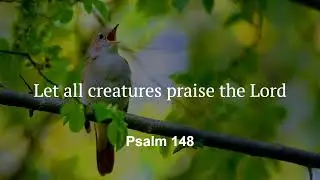 Let all creatures praise the Lord | Psalm 148