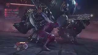 Ninja Gaiden 4 - Combat Trial 9 (Ryu)