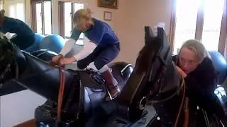 Laura whip ban Vlog.. as explained on the equicizer :)