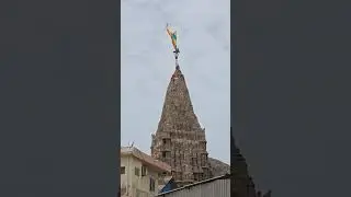 Lord Shri Dwarkadhish Temple Live Flag Hoisting Darshan with Vrinda Padhiya. #dwarkatoday #dwarka 
