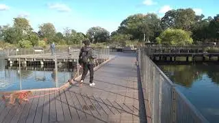 test video Sony 101925 075