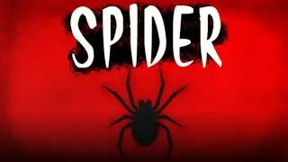 Wir spielen f&uuml;r einen Zuschauer Spinne❤️👍🌮