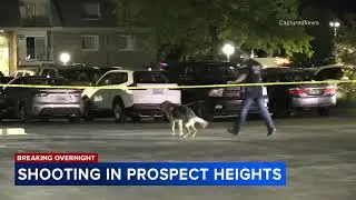 2 shot at suburban Prospect Heights hotel, police say