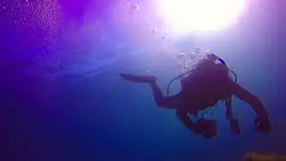 Casino Point Dive Park Scuba