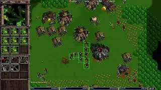 Warcraft 2 Remastered KPfdgrss 4v4