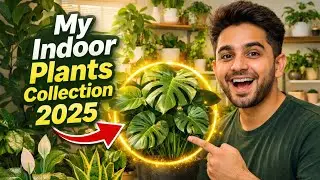 Best Indoor Plants Collection 2025 🌱 | Green Home Tour with Snake Plant, Aglonema & Rare Houseplants