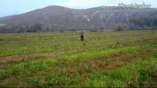 Falconry macedonia lure training