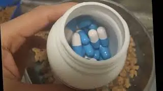 Preparing cat food Evrymorning 