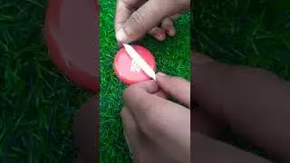 Mini Rolling board#rolling board#short video# trending