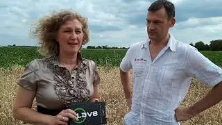 что такое Bepic компания. Bepic Acceler8. Bepic Elev8
