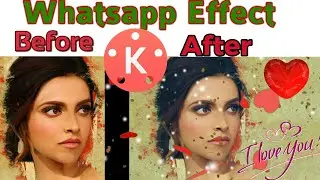 TIK TOK WHATSAPP EFFECT