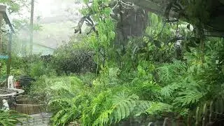 Heavy Rain, Thunder, Backyard Sights and Sounds, Squall Line Hits