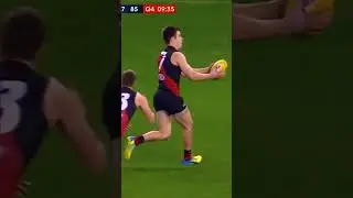🔥 Zach Merrett 250 Games! | Essendon FC Captain Courageous | AFL Highlights #essendonfc