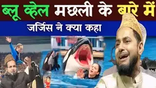 Blue whale machhali ke bare mein Maulana Jarjis kya Ne kaha by Maulana Jarjis Ansari