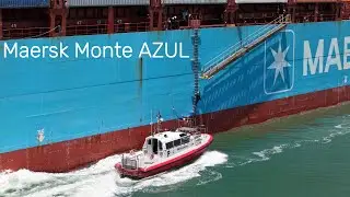 Container Ship Maersk Monte Azul - 10/11/2025